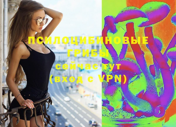 гидропоника Кукмор