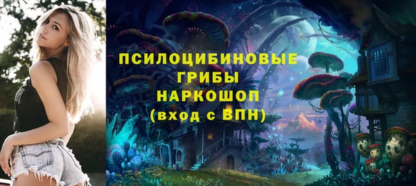 гидропоника Кукмор