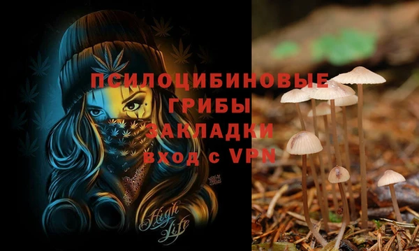 spice Куйбышев