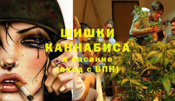гидропоника Кукмор