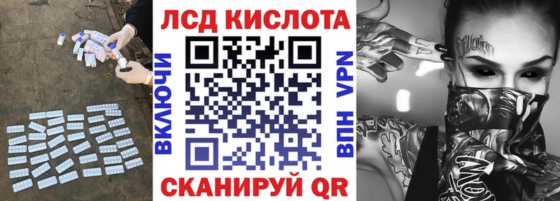 Купить закладки  Новоржев  Лсд 25 экстази кислота 